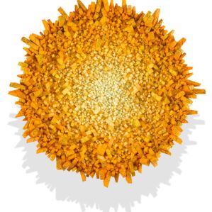 Chun Kwang Young - Aggregation-17-SE069 Star25